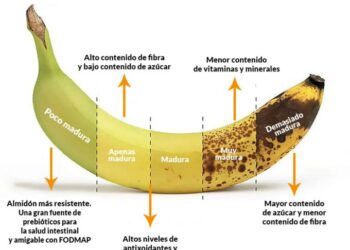 Los tiempos de madurez del plátano
