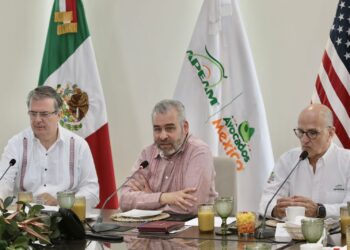 Bedolla, Ebrard y APEAM por regular cultivo de aguacate y seguridad laboral