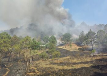 Sin afectación graves tras incendio en pastizales en el oriente de Uruapan