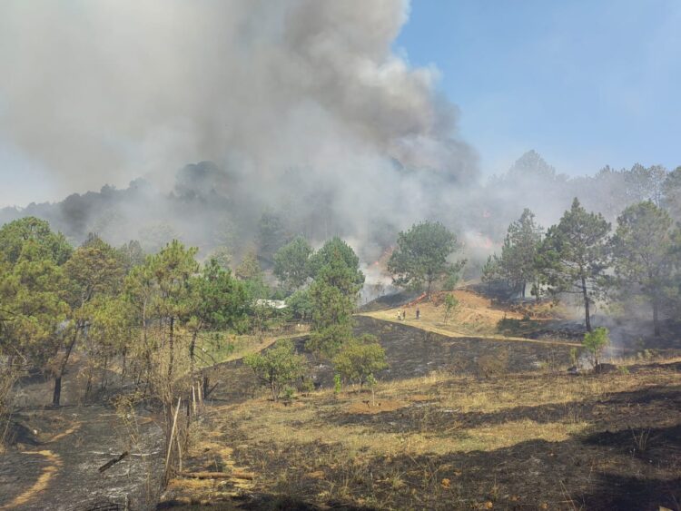Sin afectación graves tras incendio en pastizales en el oriente de Uruapan