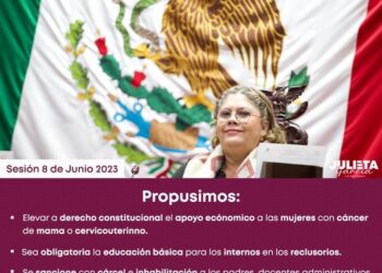 Trabajo legislativo propositivo, para el bienestar social: Dip Julieta García Z.