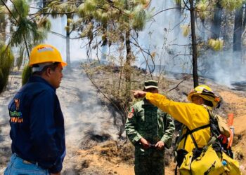 Brigadas forestales de Uruapan, en alerta máxima ante intensa ola de calor
