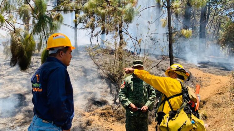 Brigadas forestales de Uruapan, en alerta máxima ante intensa ola de calor