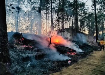 Brigadistas municipales controlan incendio en cerro de La Charanda