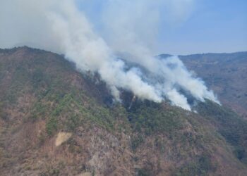 Atiende Gobierno de Michoacán incendio forestal en Madero de manera oportuna