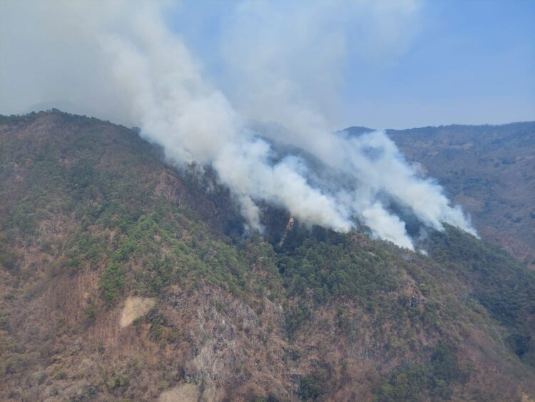 Atiende Gobierno de Michoacán incendio forestal en Madero de manera oportuna