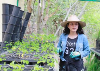 Llama Bedolla a seguir recomendaciones para reforestar después del 20 de julio
