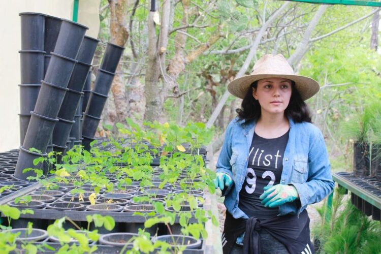 Llama Bedolla a seguir recomendaciones para reforestar después del 20 de julio