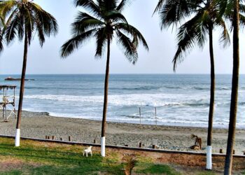 Playas michoacanas limpias; No hay riesgo para la salud de bañistas: SSM