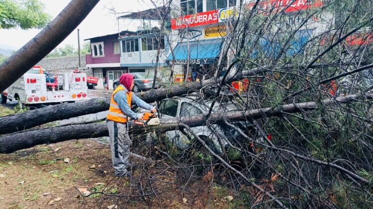 Cuerpos de emergencia en Uruapan atendieron afectaciones por lluvia