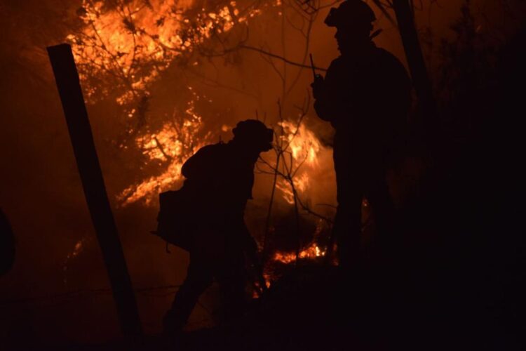 Portales Michoacanos – Los mitotes de la semana