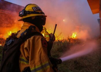 Destaca Seduma avances ambientales durante el segundo año de gobierno