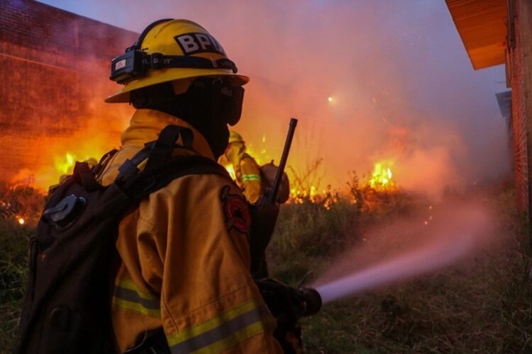 Destaca Seduma avances ambientales durante el segundo año de gobierno