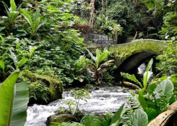 Turistas disfrutan de la belleza natural del Parque Nacional de Uruapan