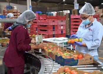 Michoacán, en el top 10 de México con menor tasa de desocupación laboral