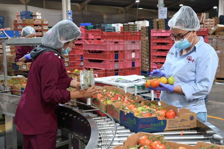 Michoacán, en el top 10 de México con menor tasa de desocupación laboral