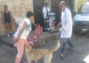Inicia Uruapan jornada de vacunación canina y felina en colonias populares