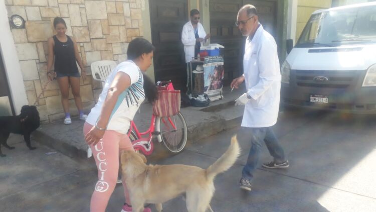 Inicia Uruapan jornada de vacunación canina y felina en colonias populares