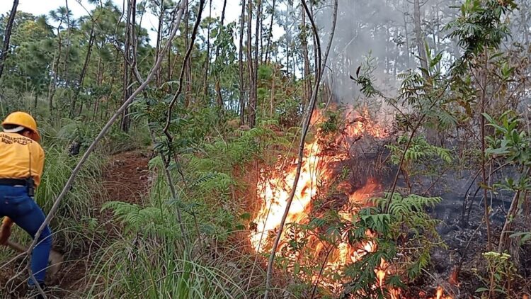 Sofocan primer incendio del otoño 2023