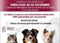 Vacunación canina y felina permanente en el Centro de Salud de Ziracuaretiro