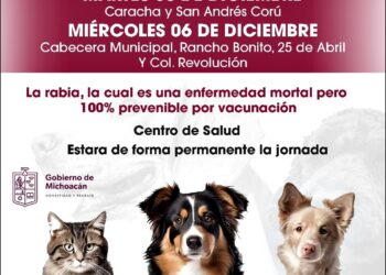 Vacunación canina y felina permanente en el Centro de Salud de Ziracuaretiro