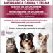 Vacunación canina y felina permanente en el Centro de Salud de Ziracuaretiro
