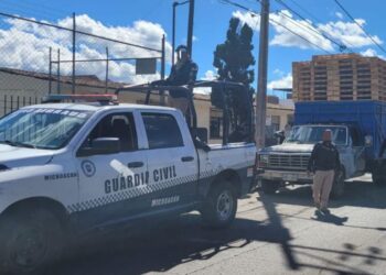 SSP asegura 100 piezas de madera presuntamente ilícitas, en Uruapan