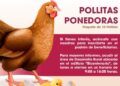 Ofrece proyectos productivos Gobierno de Ziracuaretiro a la población emprendedora