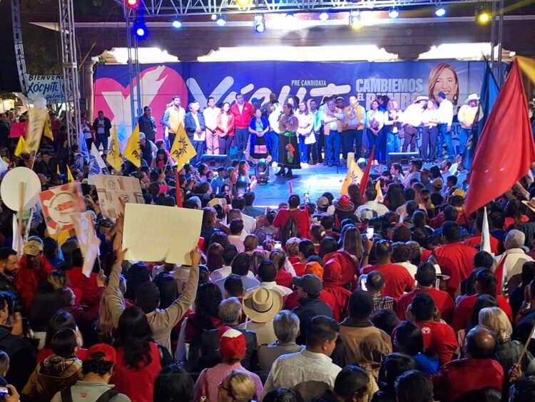 precampañas de novatos; puros errores