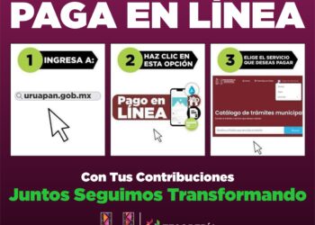 Paga en línea tu predial y no hagas fila