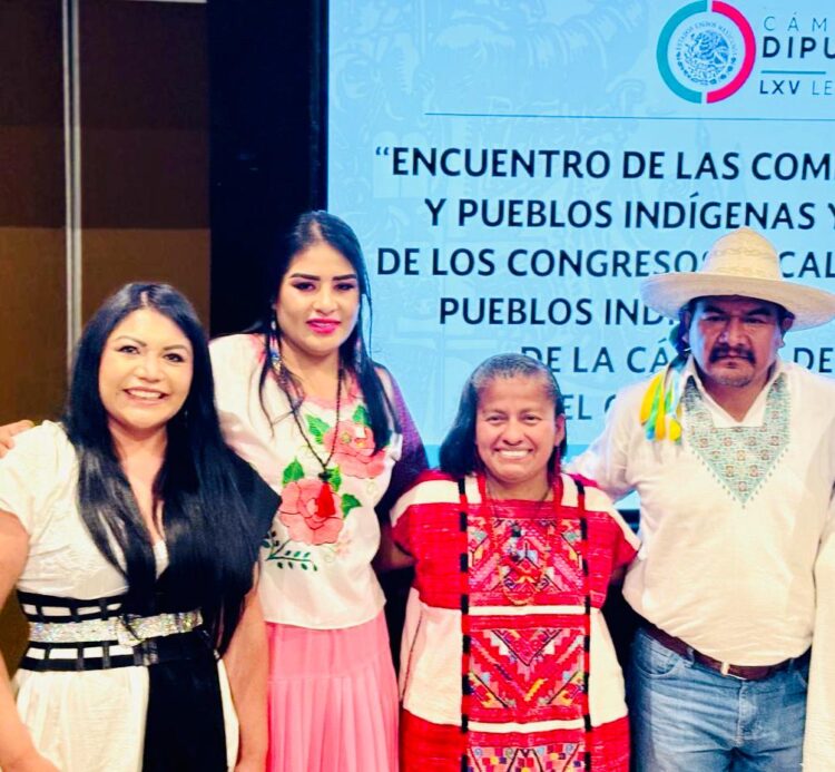 Necesaria la justicia social para pueblos originarios en Michoacán: Brenda Fraga