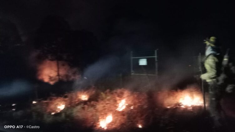 Brigadistas de Uruapan controlaron incendio forestal en la localidad El Ucaz