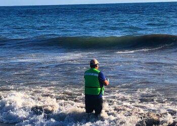 Vigila sanidad doce playas michoacanas