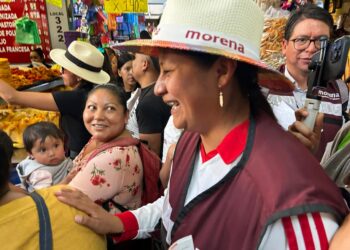 La de Celeste, una campaña a ras de tierra