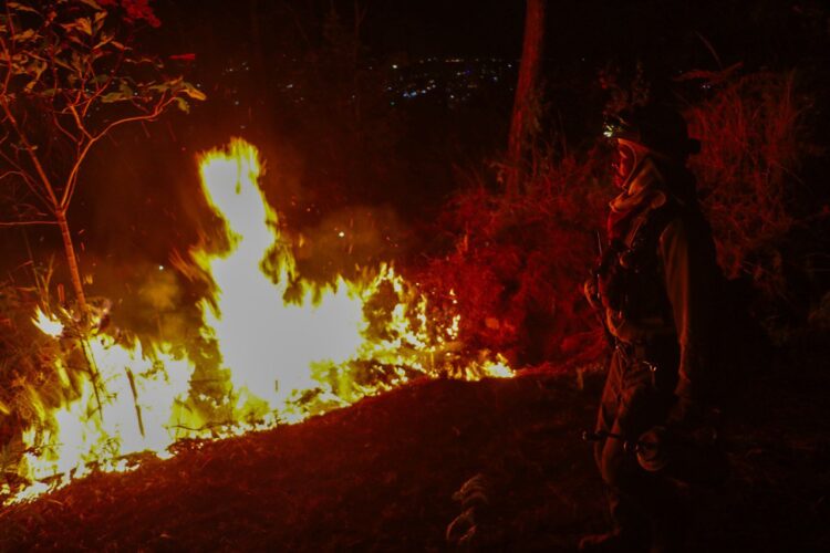 Brigadistas municipales inician primera quema controlada en el Cerro de la Cruz