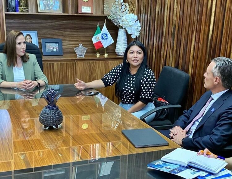 El Desplazamiento Forzado no cesa en Michoacán: Diputada Brenda Fraga