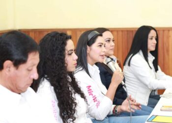 Seguridad, principal palanca de desarrollo para México, la lograremos: Araceli S Reyes