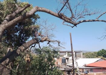 Ayuntamiento y Protección Civil de Taretan realizan acciones preventivas en escuelas