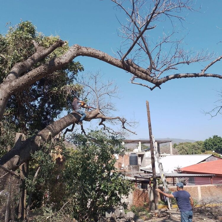 Ayuntamiento y Protección Civil de Taretan realizan acciones preventivas en escuelas