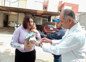 Continúa la vacunación antirrábica para perros y gatos en la ciudad de Uruapan