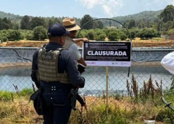 Detecta Guardián Forestal 400 ollas de agua en la cuenca del lago de Pátzcuaro