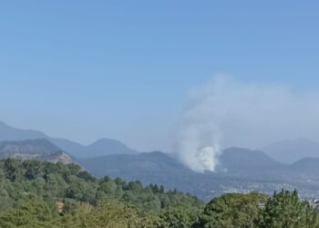 Combaten incendio forestal en Zapién y área de montaña del Parque Nacional