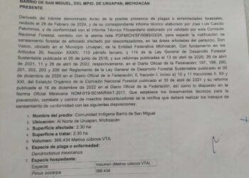 Falso que gobierno municipal autorice fraccionamiento en el cerro de La Cruz