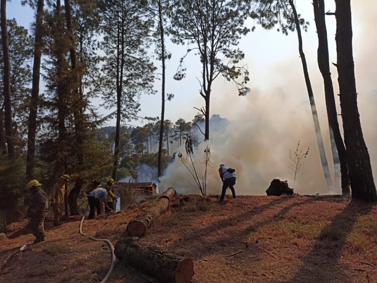 Incendio en el Cerro de la Cruz de Uruapan, controlado al 85 por ciento: Brigadistas