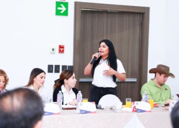 El Tianguis de Artesanías debe ser Patrimonio de la Humanidad: Brenda Fraga