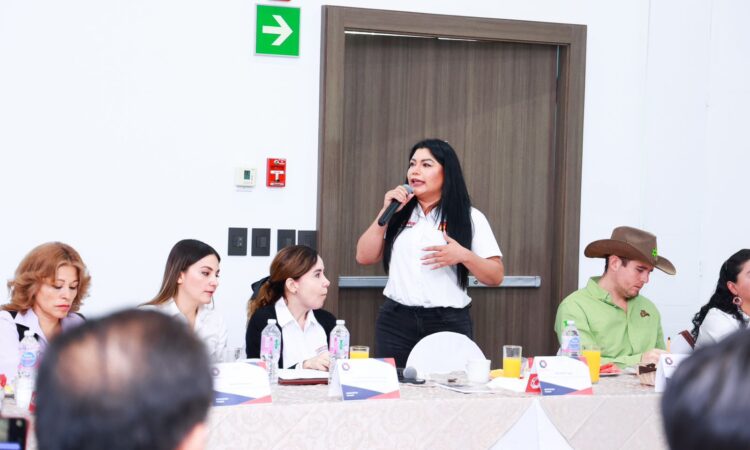 El Tianguis de Artesanías debe ser Patrimonio de la Humanidad: Brenda Fraga