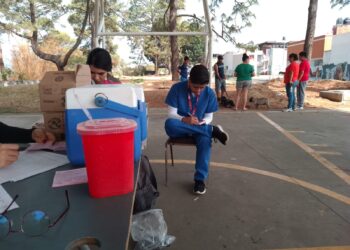 Aplicadas casi 10 mil vacunas contra la rabia, todas gratuitamente en Uruapan