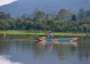 Recuperados 48 de 67 manantiales en la cuenca del lago de Pátzcuaro: R. Bedolla