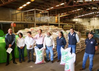 El Gobierno de Pátzcuaro y la SADER entregaron semilla de avena subsidiada