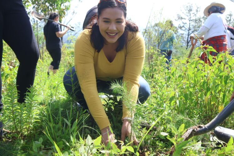 Autoridades municipales, estatales y estudiantes del CETAC, reforestaron el Cerro Blanco con tres mil plantas de pino
